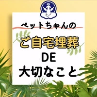 画像280