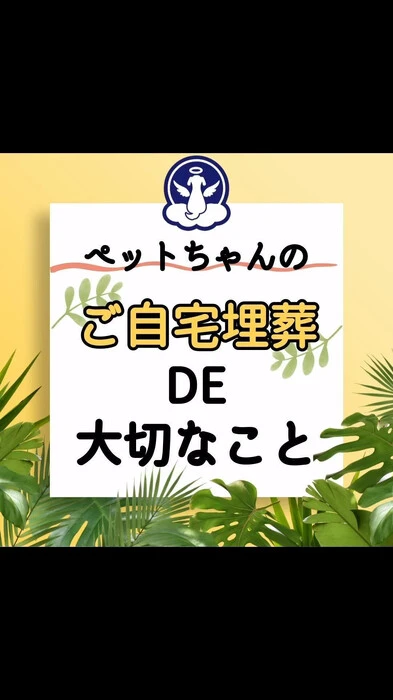 画像280
