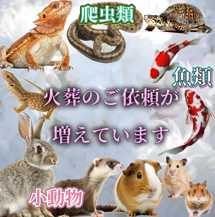 画像284