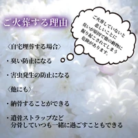 画像285