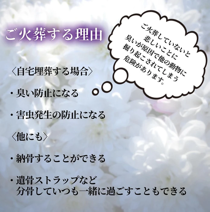 画像285
