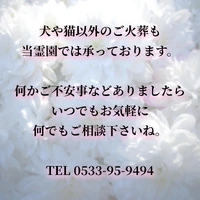 画像286
