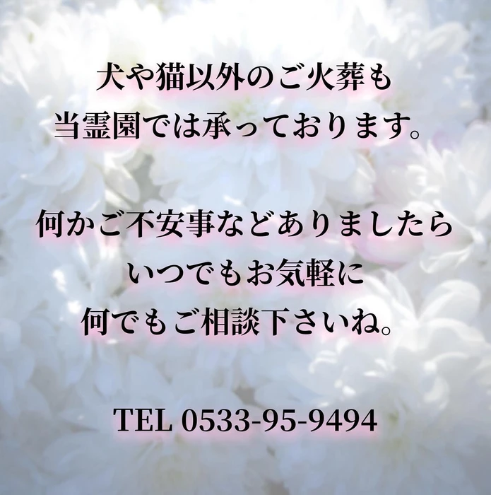画像286