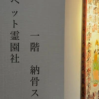 画像289