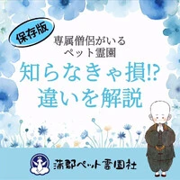 画像299