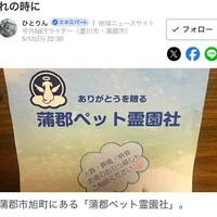 画像314
