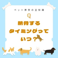 画像321