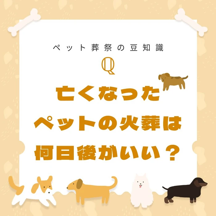 画像324