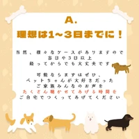 画像325