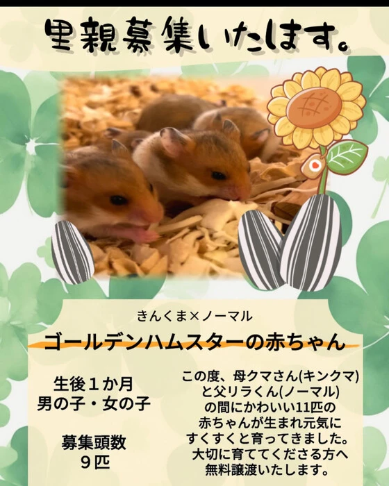 画像329