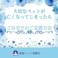 画像335
