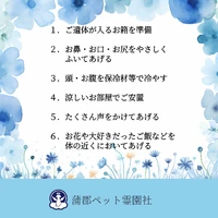 画像336