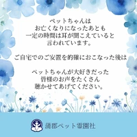 画像337