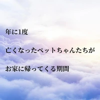 画像346