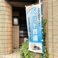 画像354