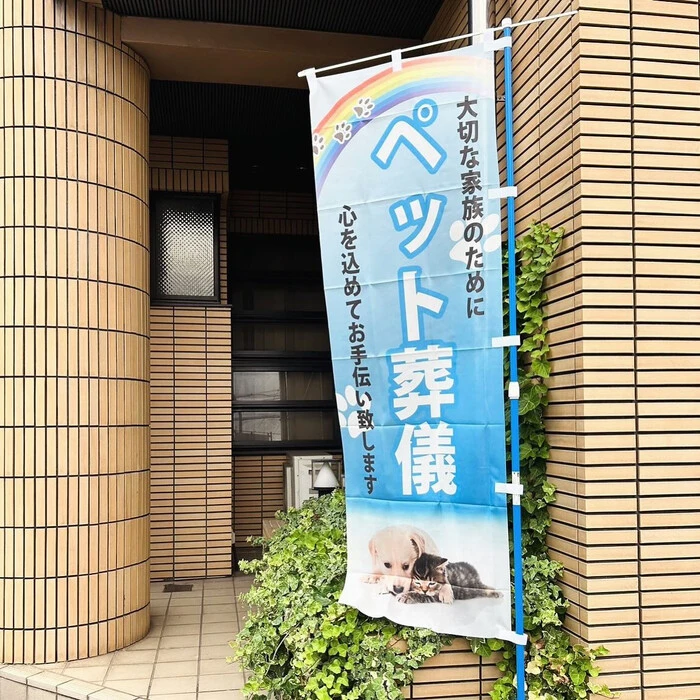 画像354