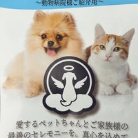 画像358
