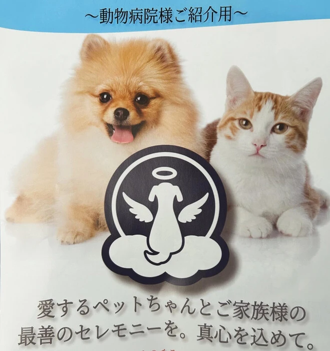 画像358