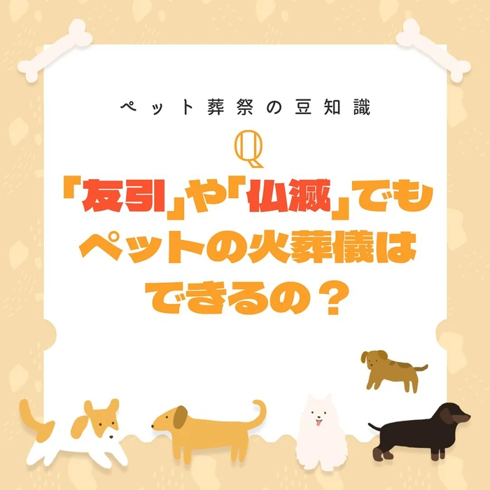 画像360