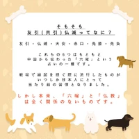 画像361
