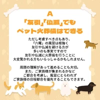 画像362