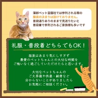 画像371
