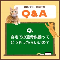 画像373