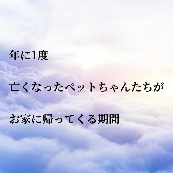 画像399