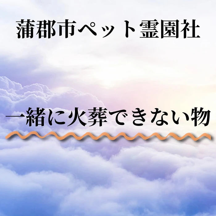 画像401