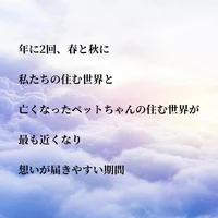 画像406