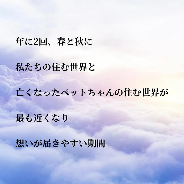 画像406