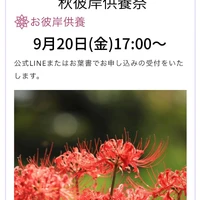 画像410