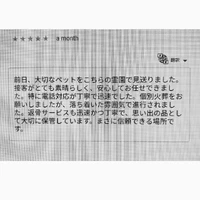 画像418