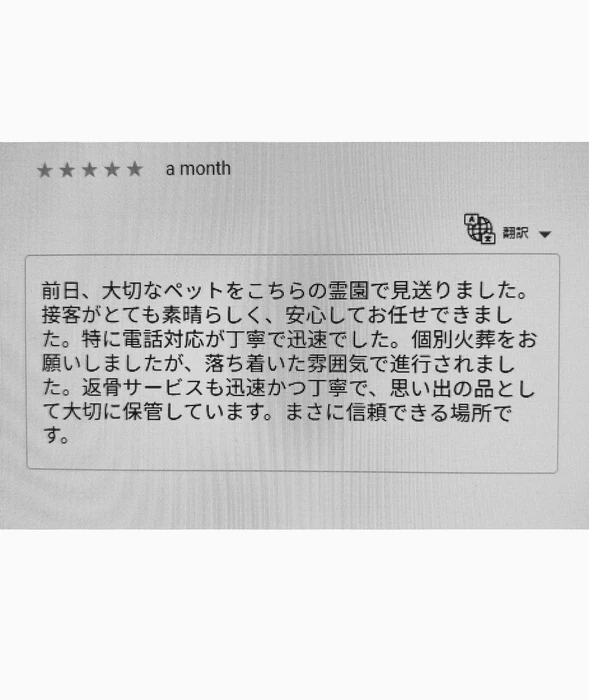 画像418