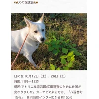 画像437
