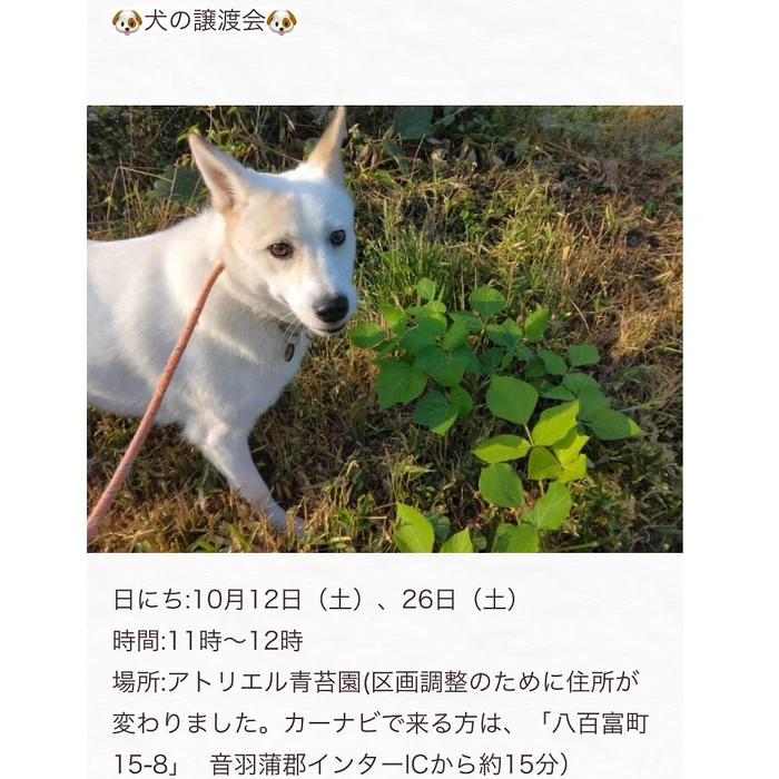 画像437