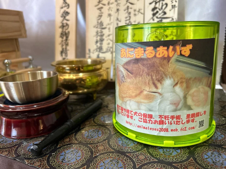 画像446