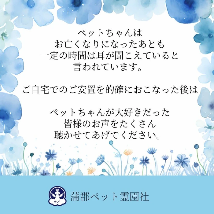 画像470
