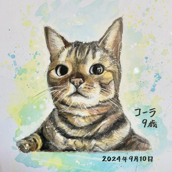 画像474