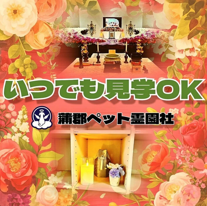 画像477