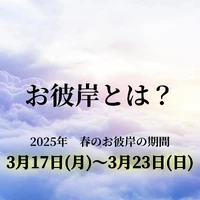 画像492
