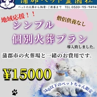 画像511