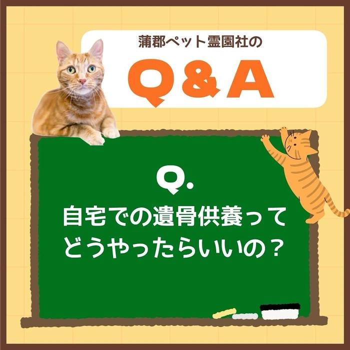 画像522