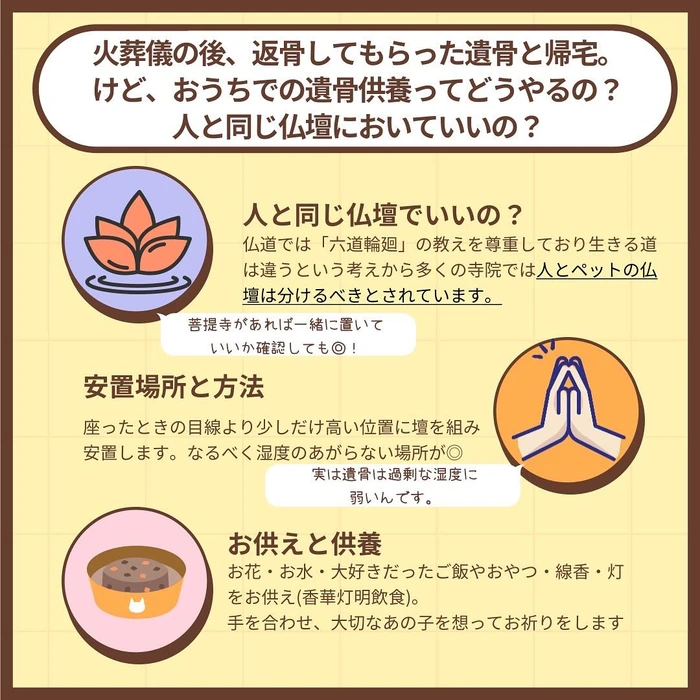 画像523