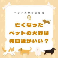 画像525