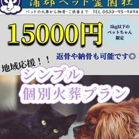 画像528