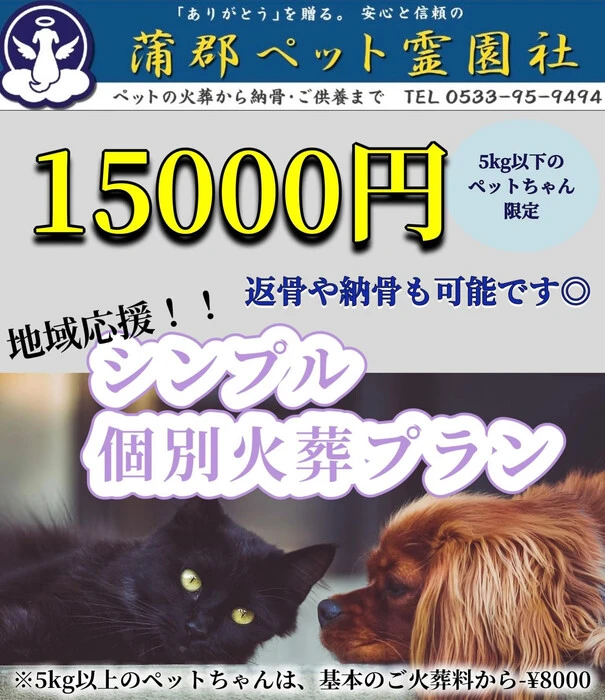 画像528
