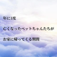画像537