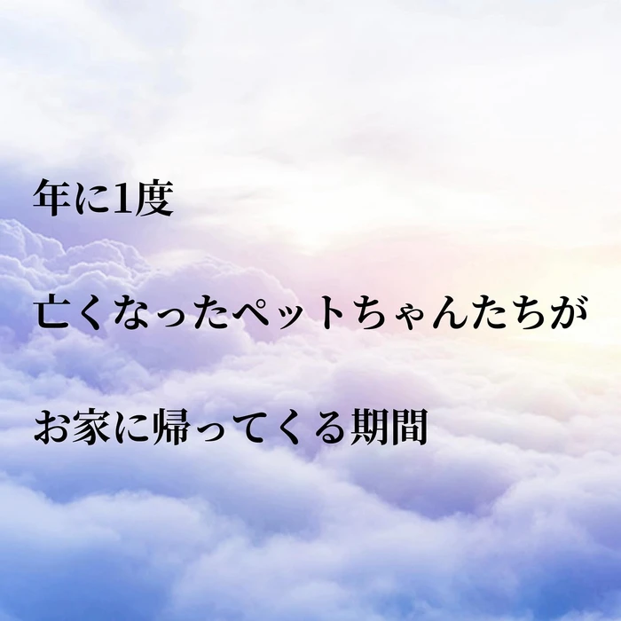 画像537