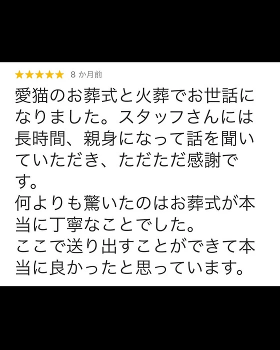 画像542